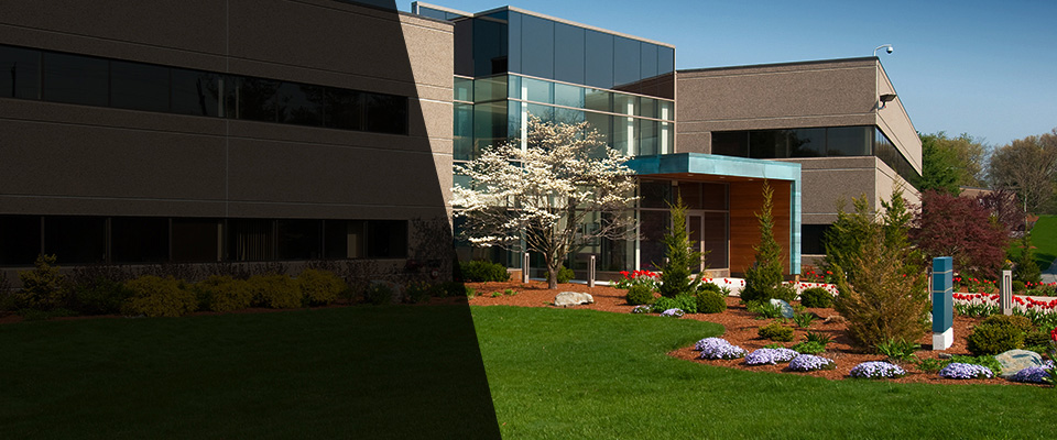 Foreston Landscapers