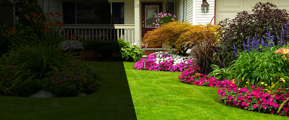 Foreston Landscapers