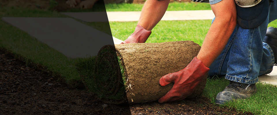 Foreston Landscapers